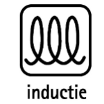 Inductie