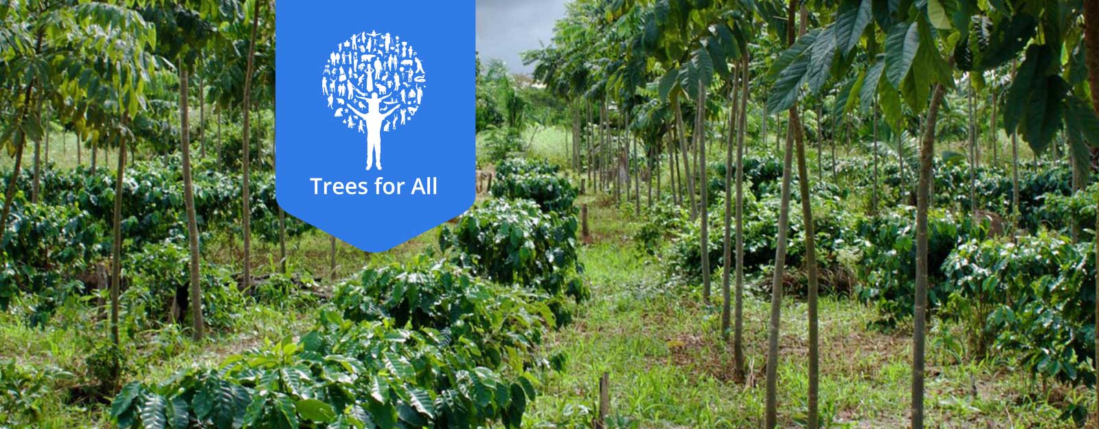 Trees for All CO2-compensatie