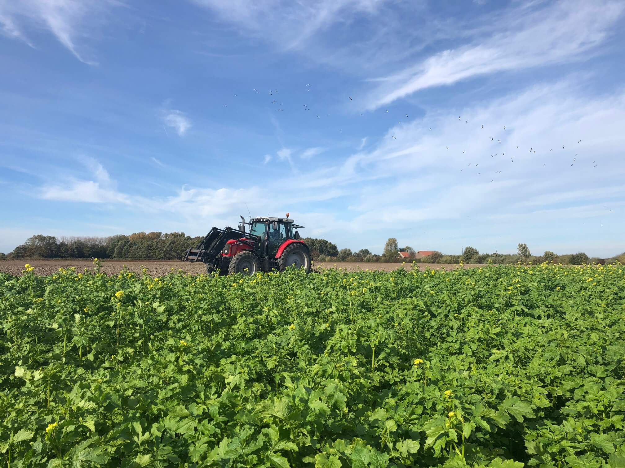 Carbon farming