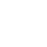 mvo