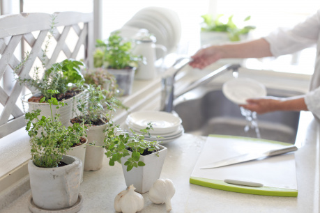 Home farming
