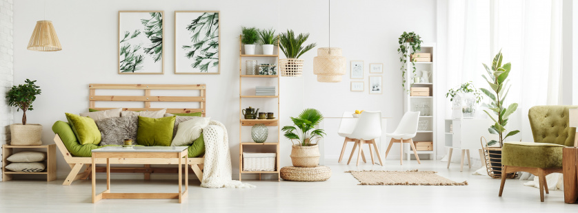 Urban Jungle