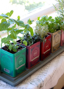 vensterbank gardening