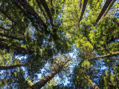 DKG zet flinke stappen met partners op weg naar een CO2 neutraal klimaat